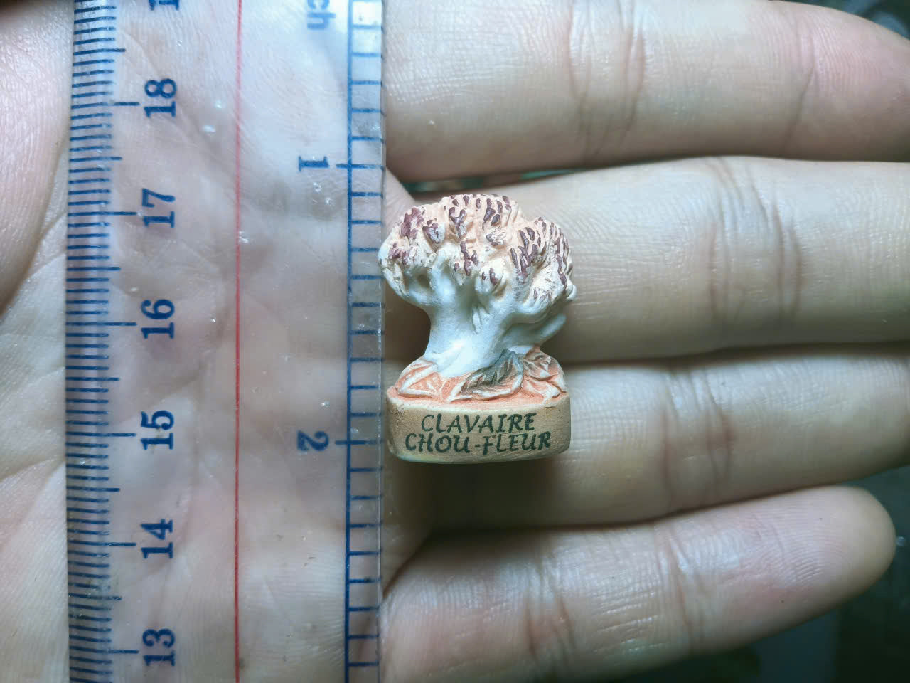 French Fève Miniature Porcelain Mushroom Figurine – Individual Collectible Cottagecore Morel & Cep King Cake Charm