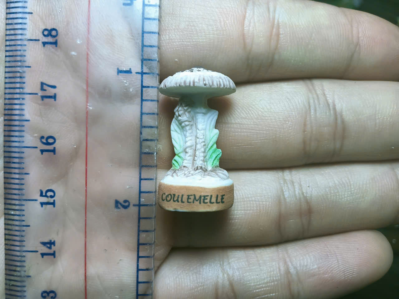 French Fève Miniature Porcelain Mushroom Figurine – Individual Collectible Cottagecore Morel & Cep King Cake Charm