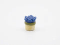 Blue Succulent Porcelain Fève | Miniature Potted Plant Collectible