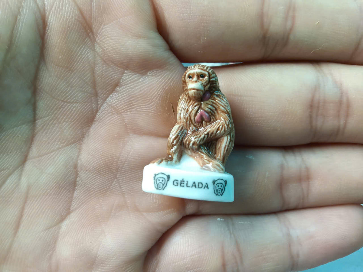 French Monkey Species Porcelain Fève – Single Piece