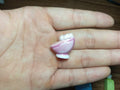 Miniature Perfume Bottle Porcelain Fève Figurines – Vintage French Collectible Set of 8