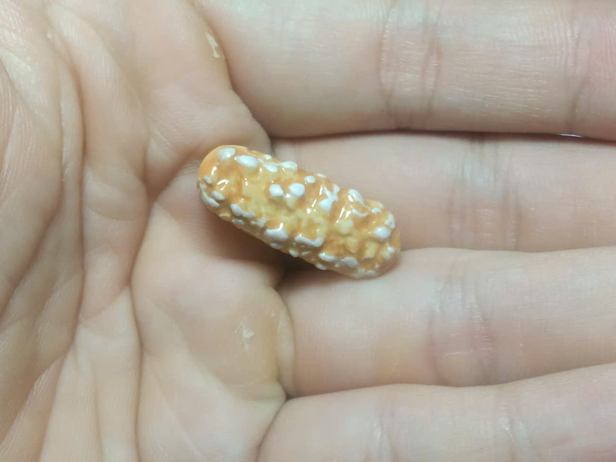 French Food Fève Magnets – Miniature Collection Part 2