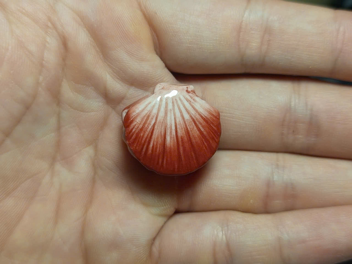 Seashell with Pearl Fève Miniature