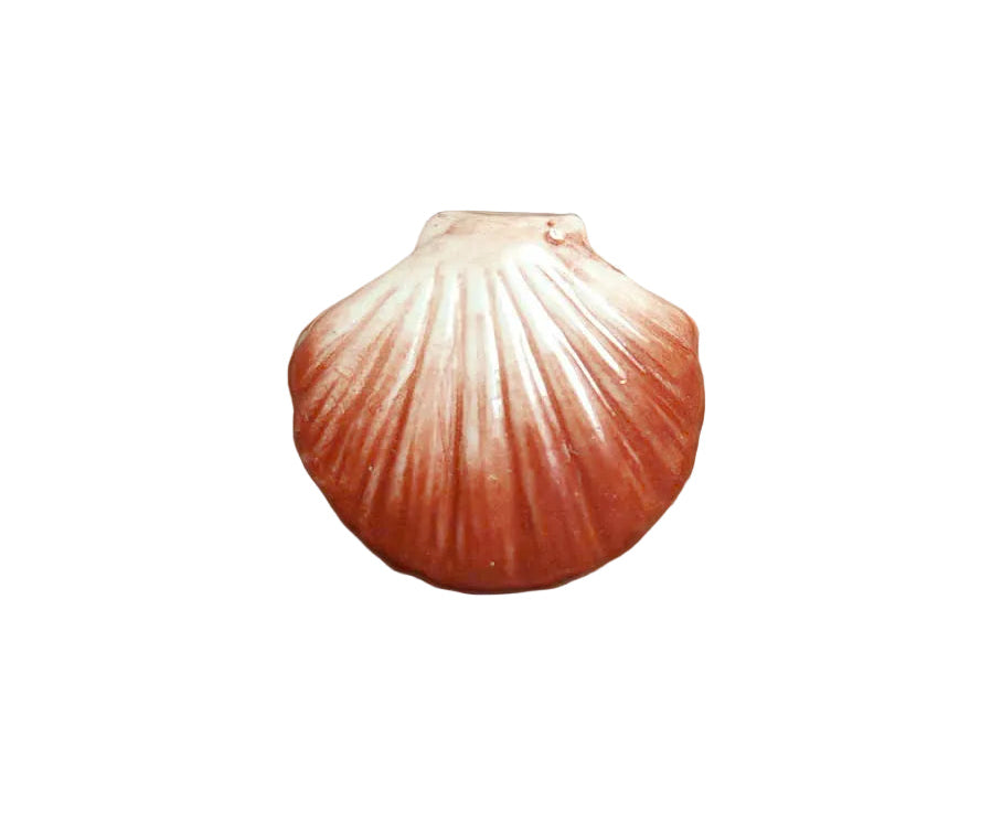 Seashell with Pearl Fève Miniature