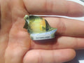 French Fish & Sea Life Fève Miniature – Choose One
